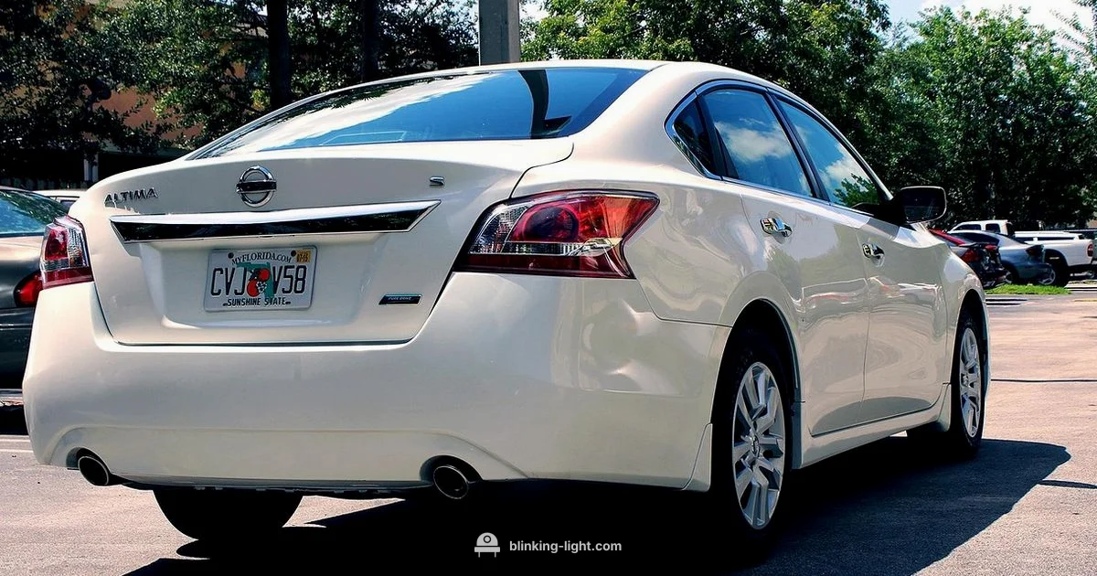 Blinking Light Guide