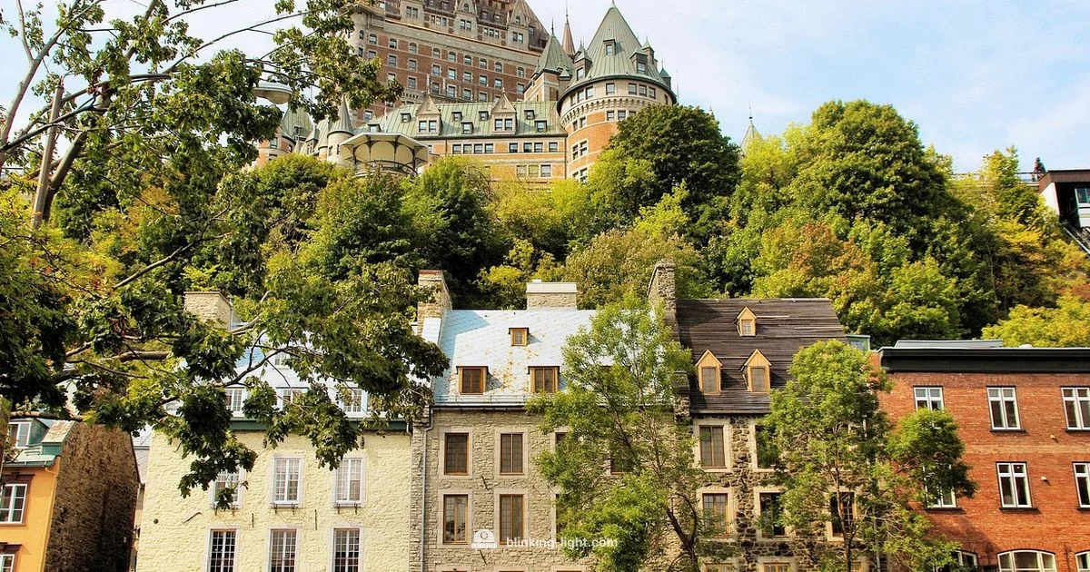 Green Light Guide - Blinking Light