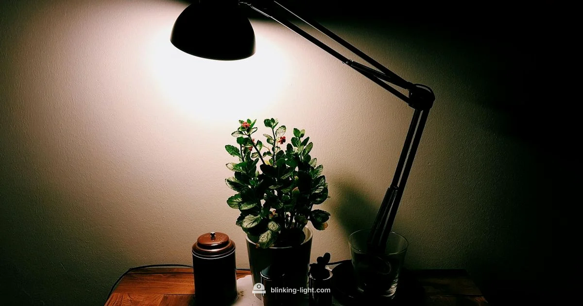 Green Blink Guide Green Blink Guide - Blinking Light