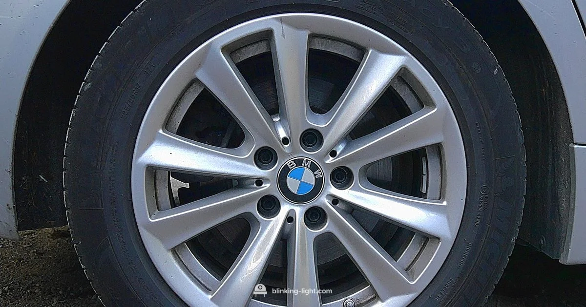 TPMS Light Guide TPMS Light Guide - Blinking Light